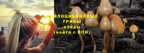 spice Лабытнанги