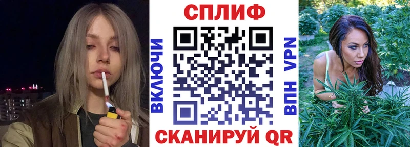 площадка какой сайт  Зуевка  Конопля гибрид  цены  